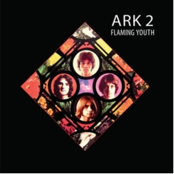 Flaming Youth Ark 2 COLOURED VINYL LP