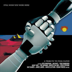 Various Artists Pink Floyd Tribute: Still Wish You Were Here VINYL LP