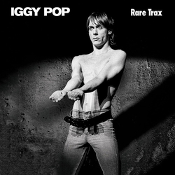 Iggy Pop Rare Trax VINYL CLEAR REMASTER 2 LP