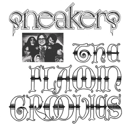 Flamin' Groovies Sneakers BLUE VINYL LP
