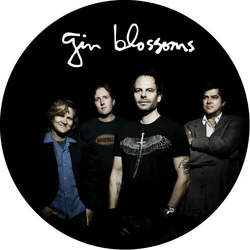 Gin Blossoms Live In Concert PICTURE DISC VINYL LP