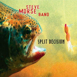 Steve Band Morse Split Decision VINYL LP