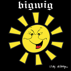 Bigwig Stay Asleep YELLOW BLACK SPLATTER VINYL LP