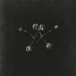 Waterstrider Nowhere Now (150G VINYL/Dl Card) VINYL LP