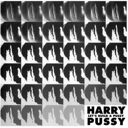 Harry Pussy Let's Build A Pussy 2 VINYL LP