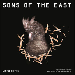 Sons Of The East Sons Of The East Vinyl LP