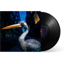 Antony Szmierek Decoding Birdsong VINYL LP