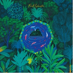 Ferdi Schuster Playing Life VINYL LP