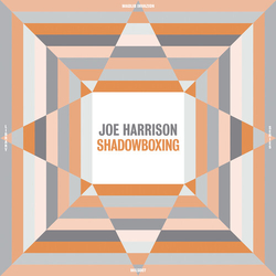 Joe Harrison Shadowboxing VINYL LP