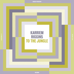 Karriem Riggins To The Jungle VINYL LP