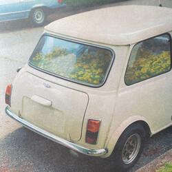 Said The Whale Dandelion Vinyl LP