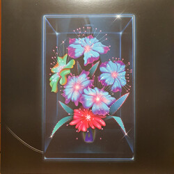 Xenia Rubinos Una Rosa Vinyl LP