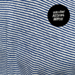Wallows Nothing Happens VINYL LP