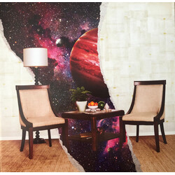 Rainbow Kitten Surprise How To: Friend, Love, Freefall Vinyl LP