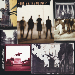 Hootie And The Blowfish Cracked Rear View VINYL LP
