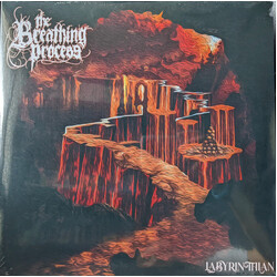 The Breathing Process Labyrinthian Vinyl