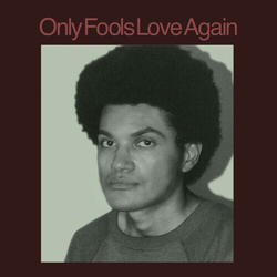 Danny Ayala Only Fools Love Again VINYL LP