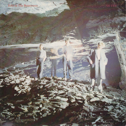 Echo & The Bunnymen Bf 2024 - Silver (12 Single) VINYL 12"