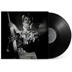 David Bowie Rock Ænæ Roll Star VINYL LP