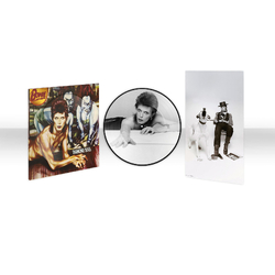 David Bowie Diamond Dogs (50Th Anniversary) (Picture Disc Vinyl) VINYL LP
