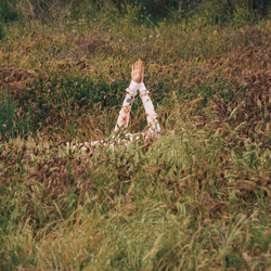 Vérité (2) New Skin Vinyl LP