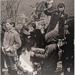 Gerry Cinnamon The Bonny (Definitive Version) Vinyl 2 LP