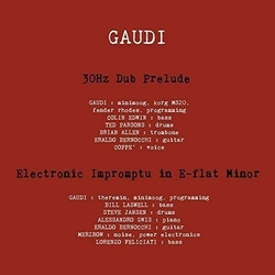 Gaudi Ep Vinyl LP