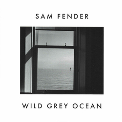 Fender Sam Rsd 2023 - Wild Grey Ocean / Little Bull Of Blithe VINYL LP