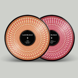 Glass Animals How To Be A Human Being (Zoetrope Picture Disc Edtion) VINYL LP