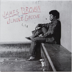 Brown James In The Jungle Groove VINYL 2LP