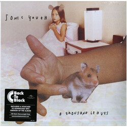 Sonic Youth A Thousand Leaves Vinyl 2 LP