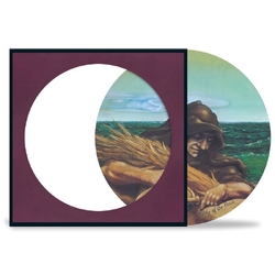 Grateful Dead Wake Of The Flood 50Th Anniversary (Picture Disc) VINYL LP