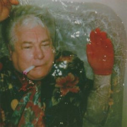 The World Is A Beautiful Place & I Am No Longer Afraid To Die Death to New Years Vinyl