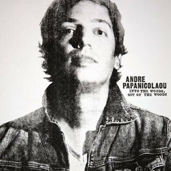 Andre Papanicolaou Into The Woods Out Of The Woods Vinyl LP