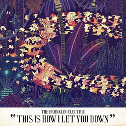 The Franklin Electric "This Is How I Let You Down"