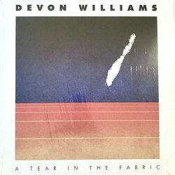 Devon Williams (2) A Tear In The Fabric Vinyl LP
