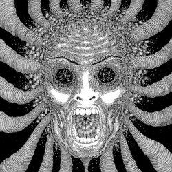 Ty Segall Band Slaughterhouse Vinyl