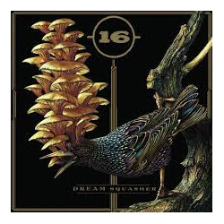 16 Dream Squasher Vinyl LP