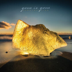 Gone Is Gone Echolocation Vinyl 2 LP