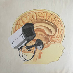 The Hidden Cameras Origin:Orphan Vinyl LP