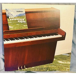 Grandaddy The Sophtware Slump .​.​.​.​. On A Wooden Piano Vinyl LP