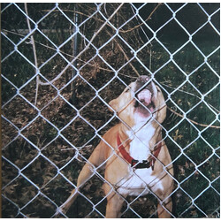 Knocked Loose Pop Culture Vinyl