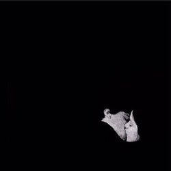 Bob Moses (5) Days Gone By