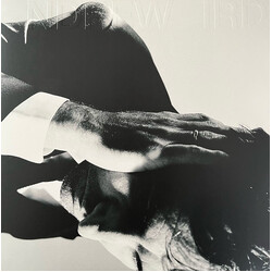 Andrew Bird Inside Problems Vinyl LP