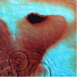 Pink Floyd Meddle Vinyl LP
