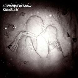 Kate Bush 50 Words For Snow Vinyl 2 LP