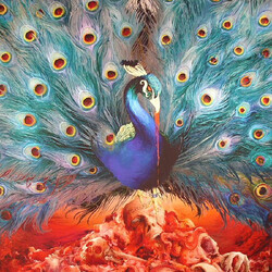 Opeth Sorceress gat/180g vinyl 2 LP