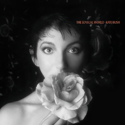 Kate Bush The Sensual World (2018 Remaster) VINYL LP BLACK