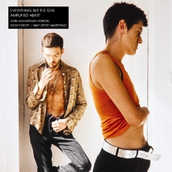 Everything But The Girl Amplified Heart VINYL LP