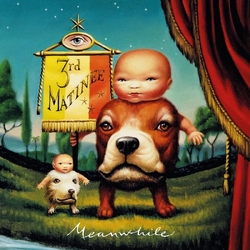 3rd Matinee Meanwhile VINYL LP Coloured